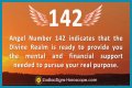 
ANGEL NUMBER 142
