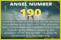 
ANGEL NUMBER 190
