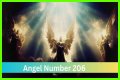 
ANGEL NUMBER 206
