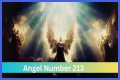 
ANGEL NUMBER 213
