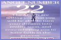 
ANGEL NUMBER 22
