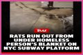 Rats Run Out From Under Homeless Person's Blanket on NYC Subway Platform