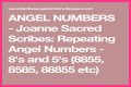 
Repeating Angel Numbers - 8's and 2's  (8822, 8282, 88822 etc)
