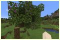 What is an Azalea Tree in Minecraft?
