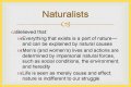 What is naturalism and its characteristics? – Janet-Panic.com