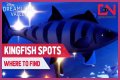 Where to catch Kingfish in Disney Dreamlight Valley